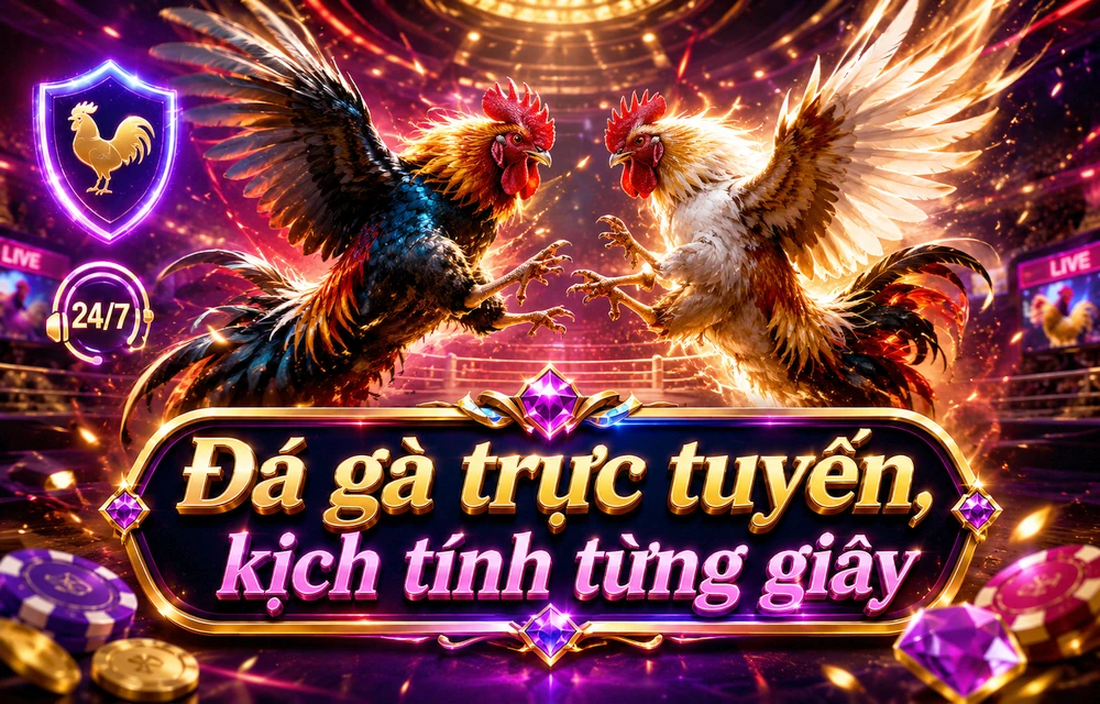 Hỏi đáp thực tế về Quản lý tài khoản dành cho người mới